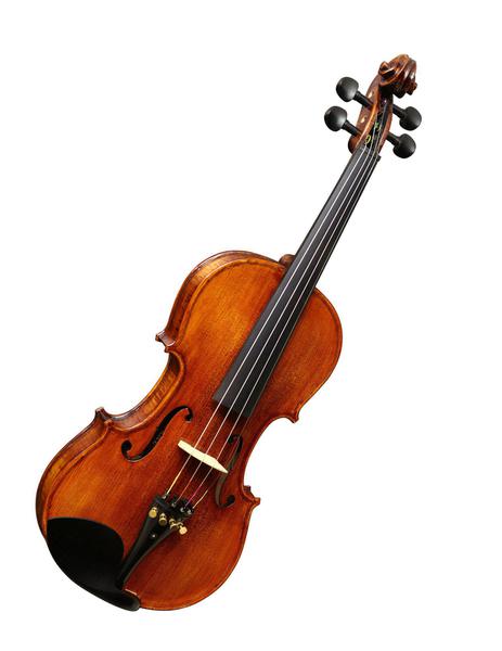 Violino Eagle Vk644 4/4 Rajado Prof.C/Higrometro e Espaleira Completo