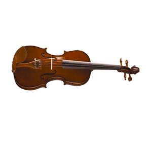 Violino Michael VNM46 4/4 Arco de Crina Animal Boxwood Series