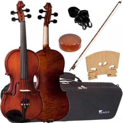 Violino Profissional 4/4 Envelhecido com Case Ve244 Eagle