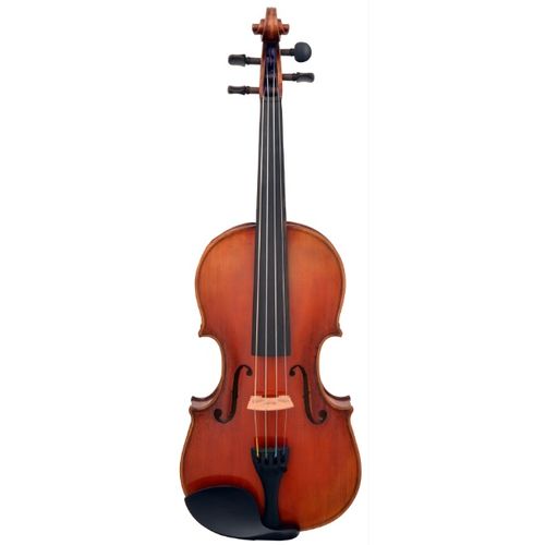 Violino Profissional Carlo Bergonzi By Plander
