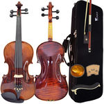 Violino Profissional Envelhecido Vk544 4/4 Eagle com Estojo