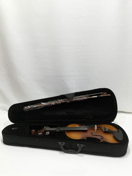 Violino Vignoli 4/4 + Arco + Breu + Estojo