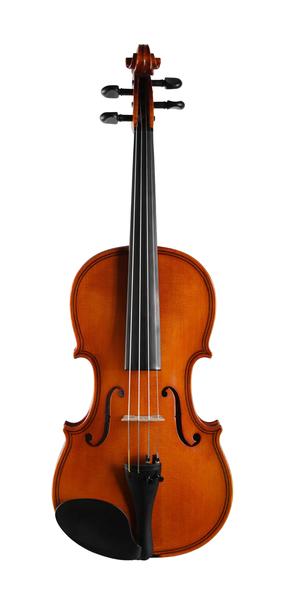 Violino Vignoli 4/4 Iniciante Vig 144 com Case