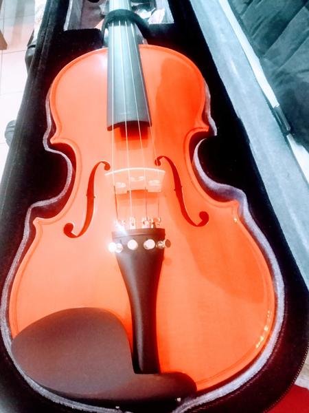Violino Vignoli 4/4 Linha Profissional 344 Spruce Sólido