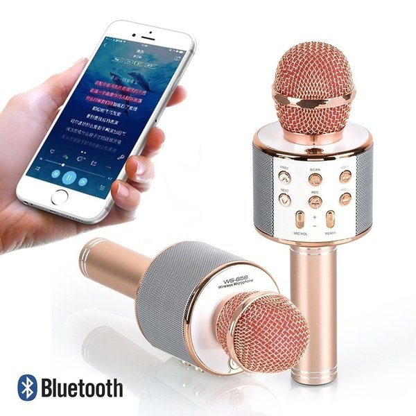 Ws 858 Bluetooth Sem Fio Karaoke Handheld Microfone Usb Ktv Preto - Others