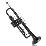 Zebra 54 * 25 * 15 cm Instrumentos de sopro Trompete B Down Trompete de latão durável com luvas de boquilha banhadas a prata e tampa da caixa