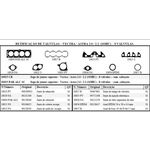 Ficha técnica e caractérísticas do produto 10015pak Kit Retificação Santa Cruz Com Cabeçote Vectra / Astra 2.0 / 2.2 (sohc) - 8 Válvulas