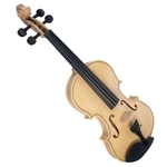 Ficha técnica e caractérísticas do produto 4/4 Violino Acústico De Tamanho Completo Com Caso Arco Resina Para Iniciantes