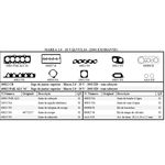 Ficha técnica e caractérísticas do produto 40812pak Kit Retificação Santa Cruz Com Cabeçote Marea 2.0 20v 01/...