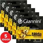 Ficha técnica e caractérísticas do produto 5 Encordoamento Giannini Acústico Viola Caipira Tensão Média / Cebolão Ré GESVAM