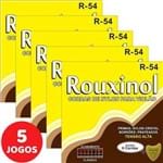 Ficha técnica e caractérísticas do produto 5 Encordoamento Rouxinol P/ Violão Nylon Clássico Tensão Pesada R54