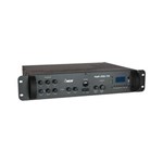 Ficha técnica e caractérísticas do produto Amplificador 400W USB NCA PWM 210V FM
