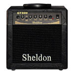 Ficha técnica e caractérísticas do produto Amplificador De Guitarra Sheldon - Gt 300 - 30w