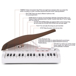 Ficha técnica e caractérísticas do produto AUSTARHOBBY 18 teclas de piano de brinquedo teclado para o anivers¨¢rio ca?oa o presente instrumento de m¨²sica
