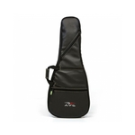 Ficha técnica e caractérísticas do produto AVS Bags - Bag Para Guitarra Executive BIC006 ET