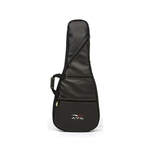 Ficha técnica e caractérísticas do produto Bag AVS BIC006EX Executive Preto para Guitarra