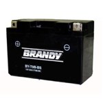 Ficha técnica e caractérísticas do produto Bateria Brandy Yt9B-Bs By-Gt9B Gel 0835 Mt03 / Xt660 85462