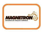 Ficha técnica e caractérísticas do produto Bobina Ignição LEAD 110 Magnetron