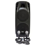 Ficha técnica e caractérísticas do produto Caixa Acústica Lexsen Ls-210a Mp3 com 300w de Potência, Bluetooth e 2 Microfones
