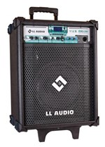 Ficha técnica e caractérísticas do produto Caixa de Som Amplificada 10" 60W Multi-Uso Stone-250 com Microfone e Bluetooth - Ll