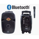 Ficha técnica e caractérísticas do produto Caixa De Som Ecopower Ep-s300 300w 8 Rádio Fm/bluetooth/usb