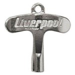 Ficha técnica e caractérísticas do produto Chave Afinação Pandeiro Metal Cromado Liverpool