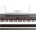 Ficha técnica e caractérísticas do produto CLG 88 - Piano Digital 88 Teclas Classygrand 88 CLG88 Waldman