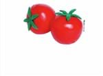 Ficha técnica e caractérísticas do produto Coleção Comidinhas NewArt Toy's Tomate Ref. 416