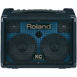 Ficha técnica e caractérísticas do produto Combo Teclado Roland KC 110