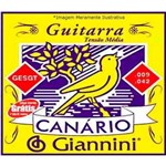 Ficha técnica e caractérísticas do produto Corda de Aco Canario Geegst9.3 para Guitarra com Bolinha 3a Corda Giannini