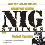Ficha técnica e caractérísticas do produto Corda para Guitarra Elétrica Linha Signature Sydnei Carvalho 0095"-044" - Nig Strings