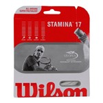 Ficha técnica e caractérísticas do produto Corda Wilson Stamina Set 17 1.25mm