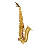 Ficha técnica e caractérísticas do produto CSR - Mini Saxofone Soprano Eastman 2884