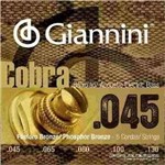 Ficha técnica e caractérísticas do produto Encordoamento Baixolão 5c Giannini GEEBASF5 0.45