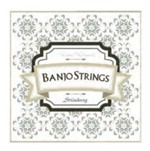 Ficha técnica e caractérísticas do produto Encordoamento Banjo Americano 5 Cordas Strinberg Bj5