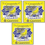 3 Encordoamento Cavaquinho Canario Giannini Gescb - Média