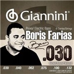 Ficha técnica e caractérísticas do produto Encordoamento De Contrabaixo 6 Cordas Boris Farias Giannini