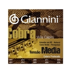 Ficha técnica e caractérísticas do produto Encordoamento Giannini GESVM 011/034 Ré para Viola Caipira