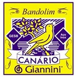Ficha técnica e caractérísticas do produto Encordoamento Giannini P Bandolim Serie Canario GESB Tensao Media com Chenilha