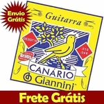 Ficha técnica e caractérísticas do produto Encordoamento Giannini Para Guitarra 010 Mi Extra Gesgt10