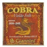 Ficha técnica e caractérísticas do produto Encordoamento Inox Violão Folk Cobra - Giannini