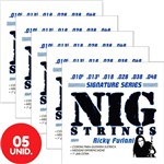 Encordoamento Nig Guitarra 010,5 048 Rick Furlani Signature RK70 - Kit com 5 Unidades