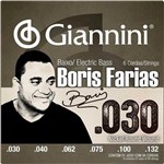 Ficha técnica e caractérísticas do produto Encordoamento para Contrabaixo 6 Cordas Signature Boris Farias SSBNBF6 Giannini