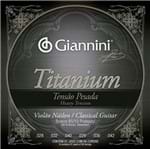 Ficha técnica e caractérísticas do produto Encordoamento Violao Giannini Genwta Titanium Bronze 85/15 Prateado