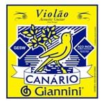 Ficha técnica e caractérísticas do produto Encordoamento Violao Giannini Gesw C/ Chenilha Aço Canário
