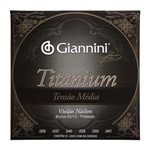 Ficha técnica e caractérísticas do produto Encordoamento Violão Náilon Tensão Média Titanium Giannini GENWTM