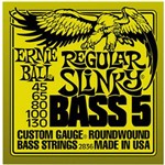 Ernie Ball - Encordoamento 045 para Baixo 5c Regular Slinky 2836