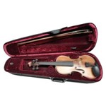 Ficha técnica e caractérísticas do produto Estojo Térmico para Violino 4/4 Nhureson
