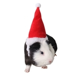 Ficha técnica e caractérísticas do produto Fontes Red Hat Pet Hat Groundhog Natal flanela Strap Totoro Hat pequeno animal de estima??o