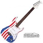 Ficha técnica e caractérísticas do produto Guitarra Elétrica Eagle Sts001 Us Stratocaster Cap. Wilkinson